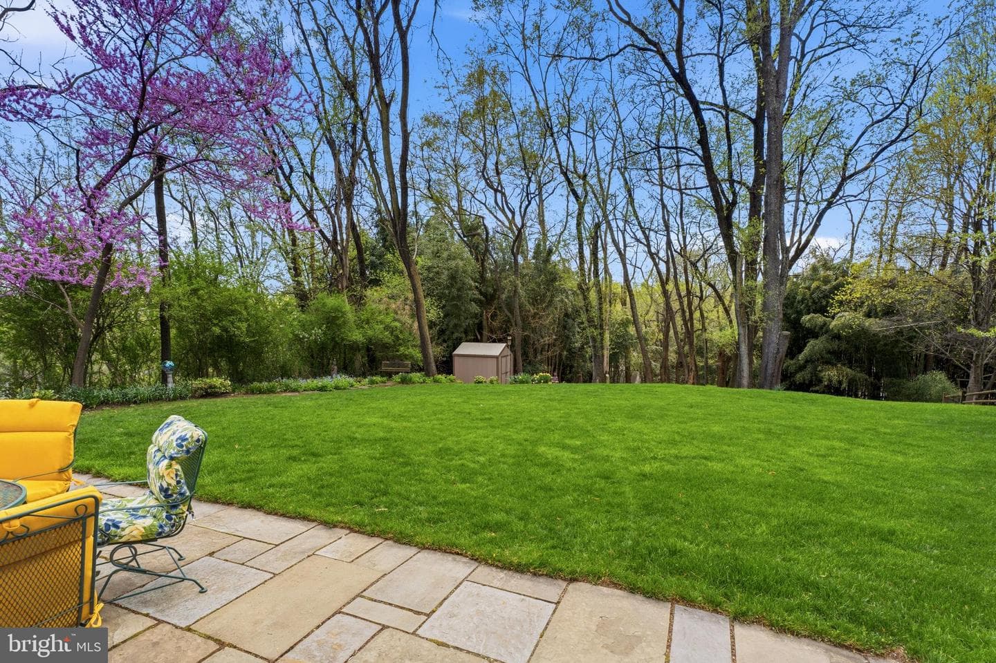 3831 Parrot Drive photo 69