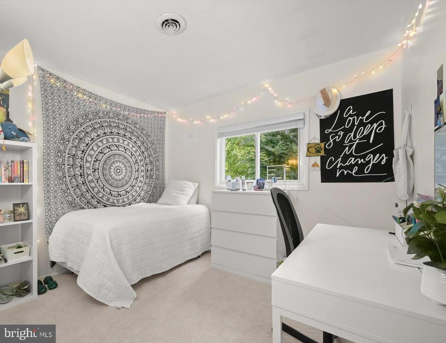 9233 Spring Valley Road photo 20