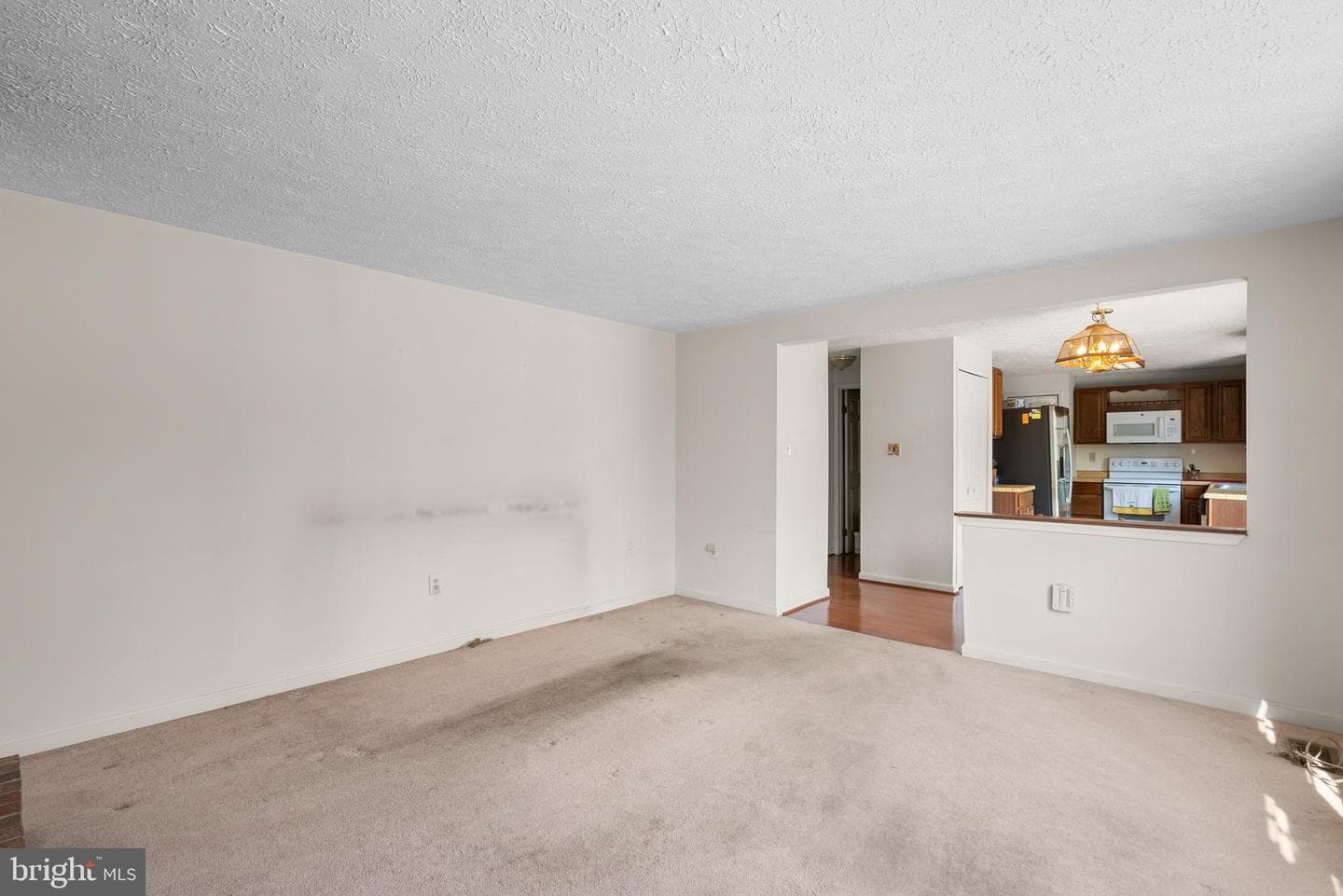 8745 Cardinal Forest Circle photo 20