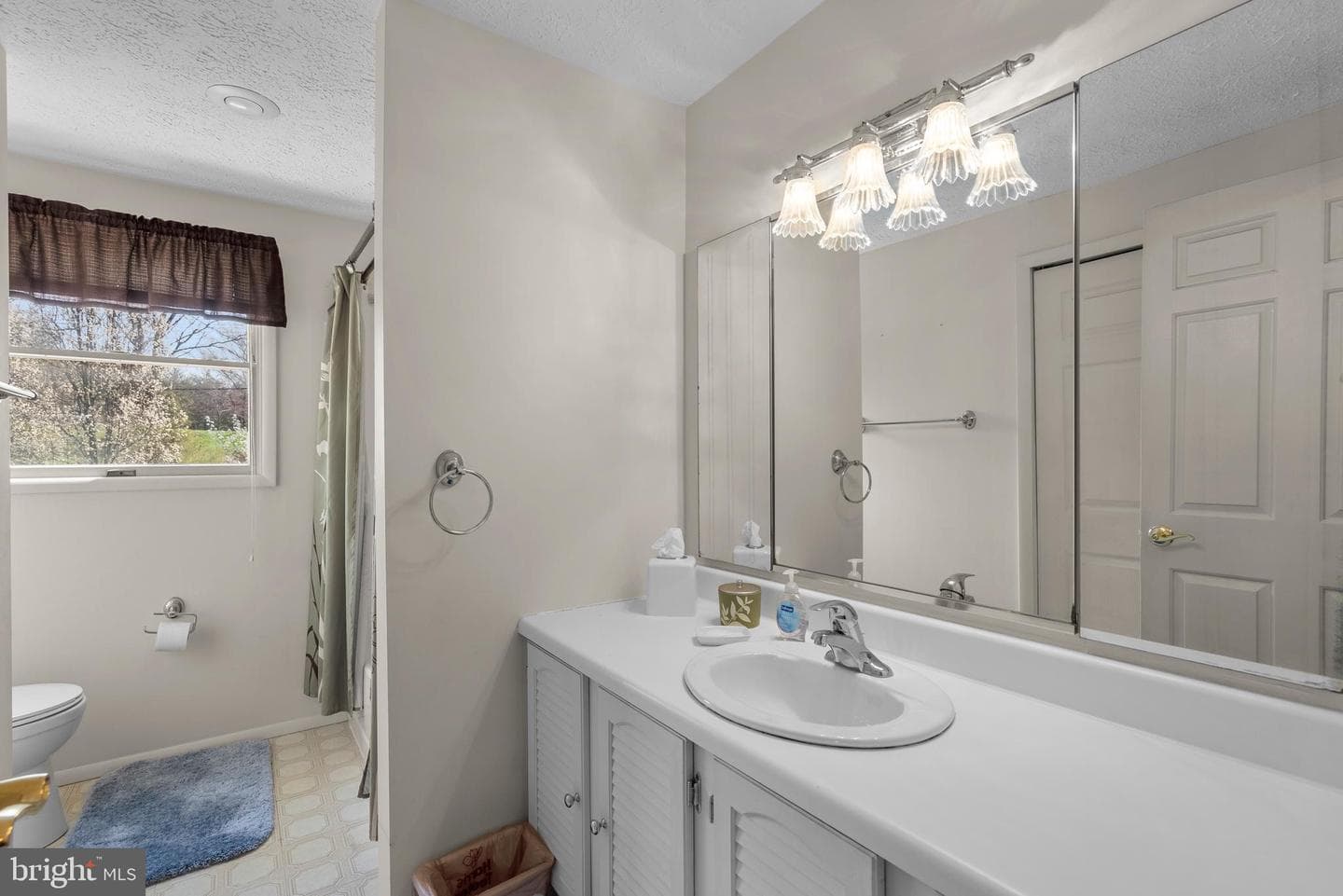 8745 Cardinal Forest Circle photo 30