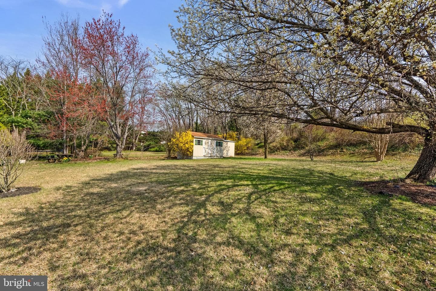 8745 Cardinal Forest Circle photo 43