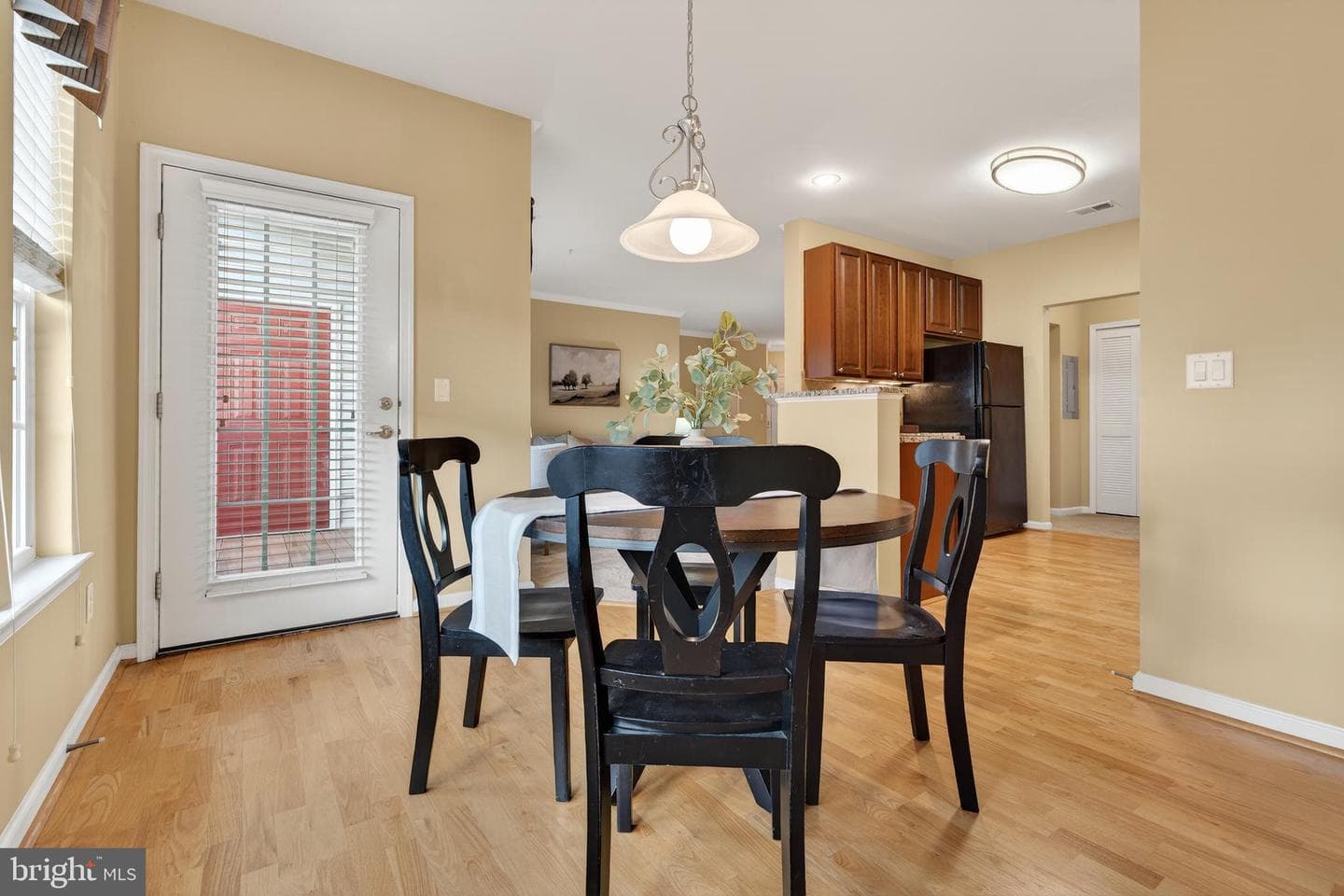 11165 Chambers Court #m photo 12