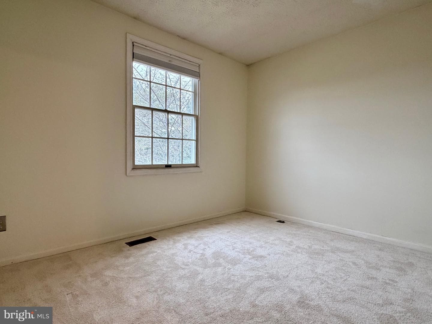 9214 Pirates Cove photo 19