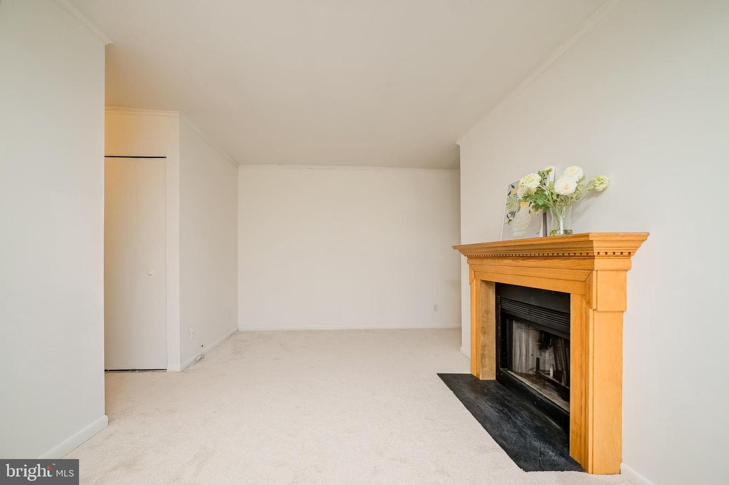 5921 Tamar Drive #11 P11 photo 11