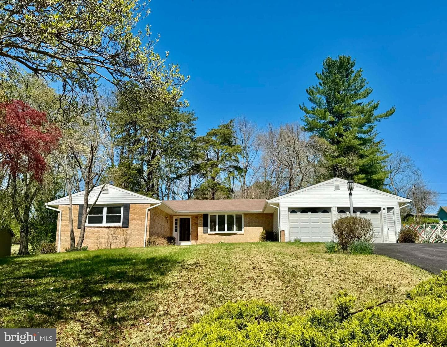 10388 Lombardi Drive