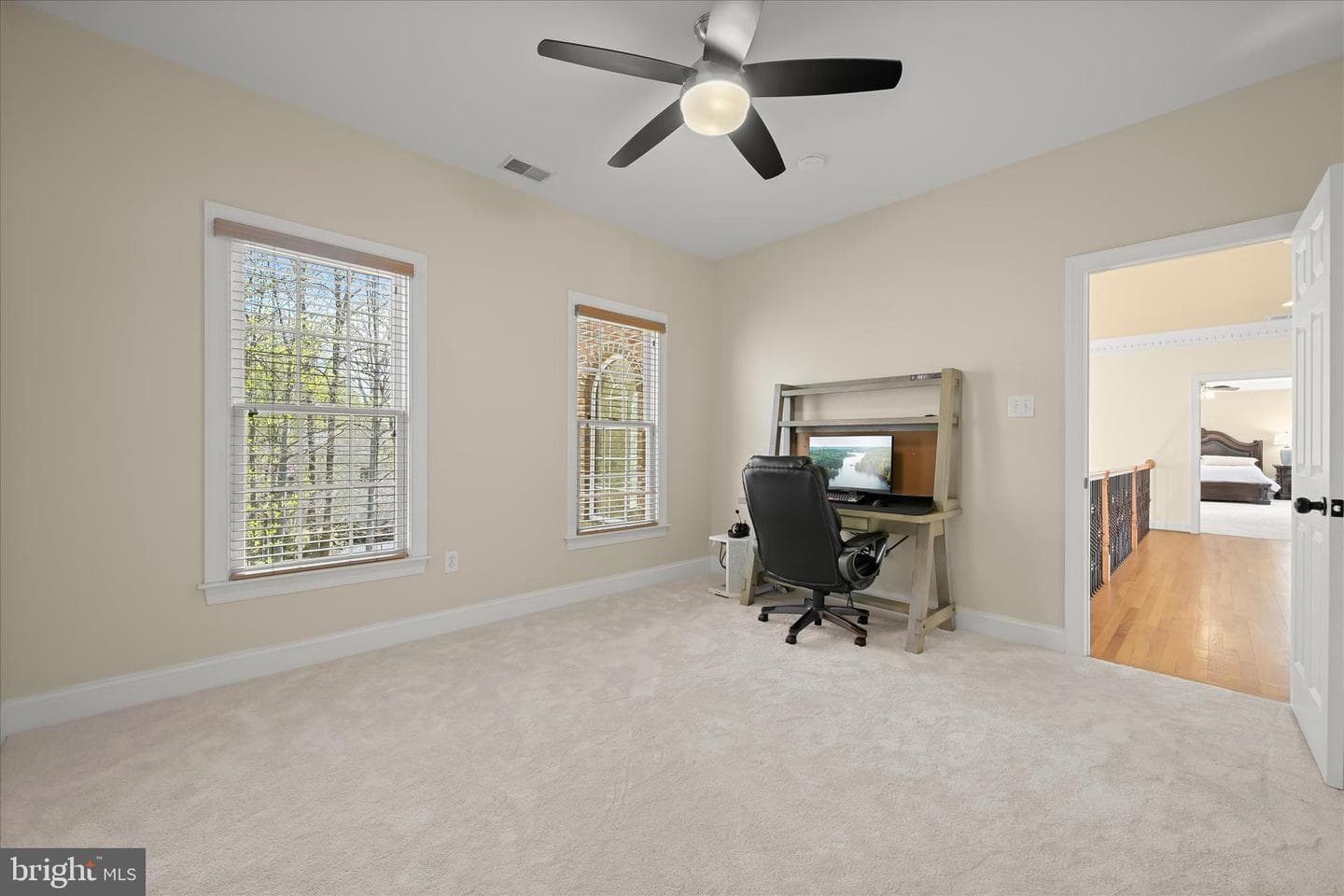 7016 Meandering Stream Way photo 53