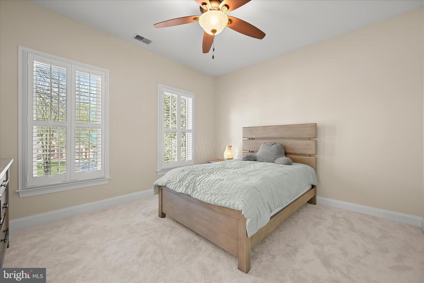 7016 Meandering Stream Way photo 55