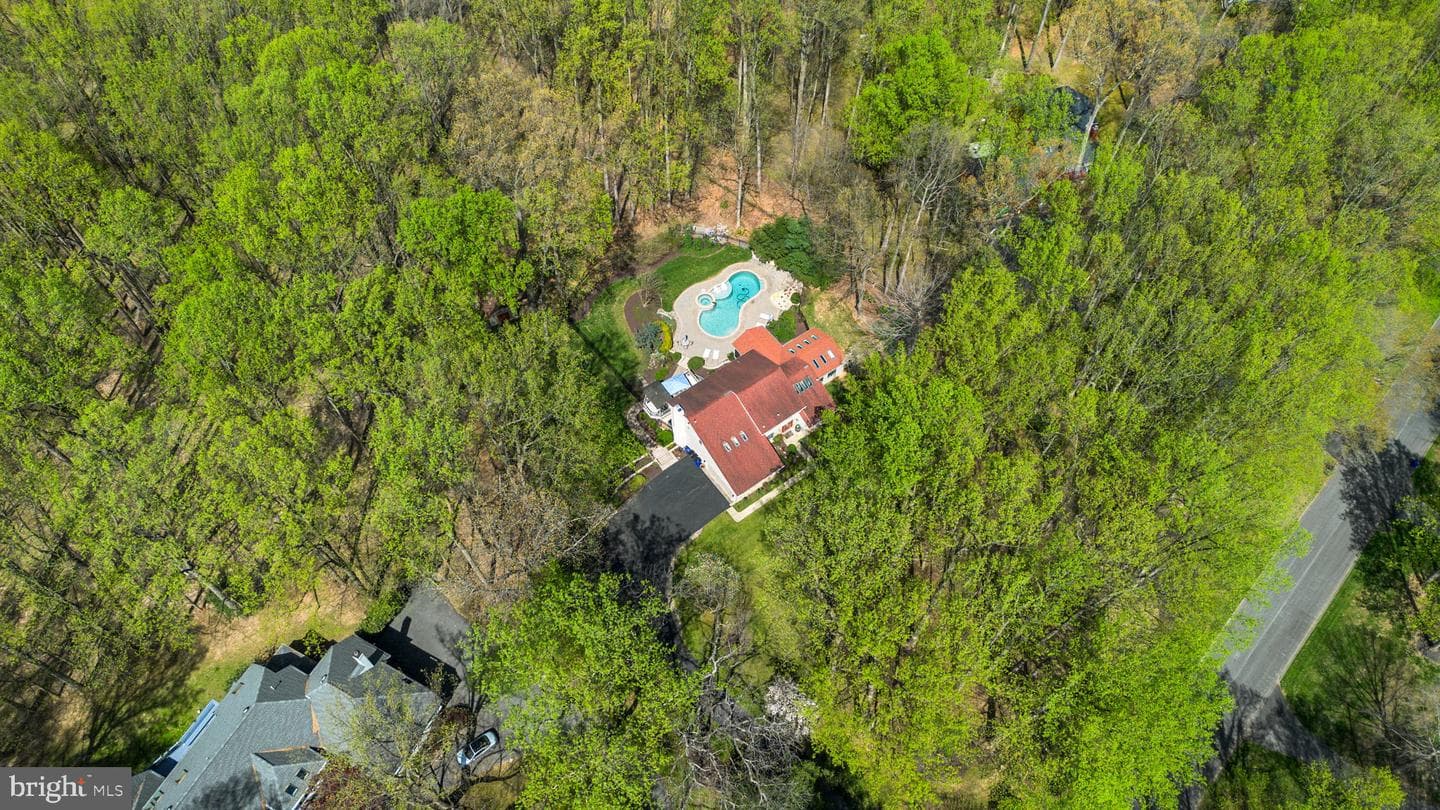 7310 Meadow Wood Way photo 87