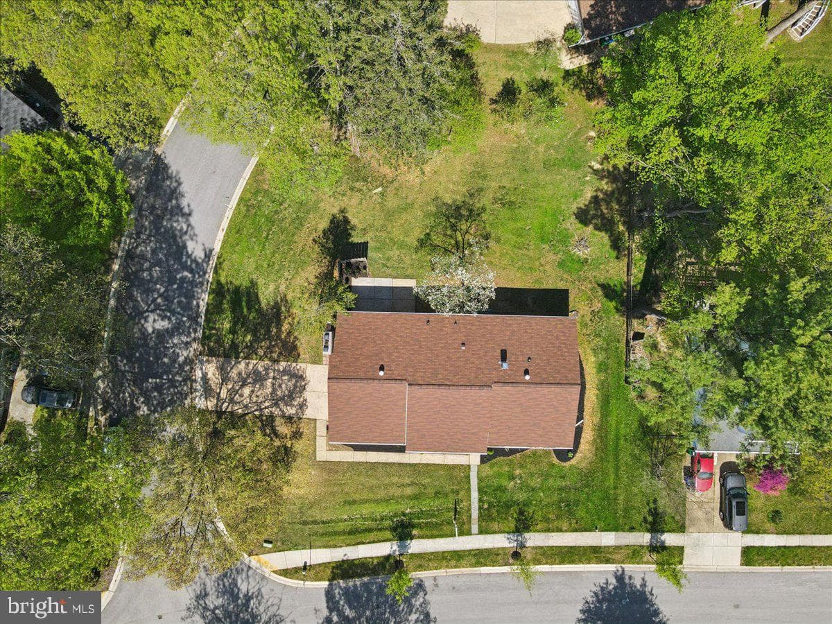 10538 Green Mountain Circle photo 62