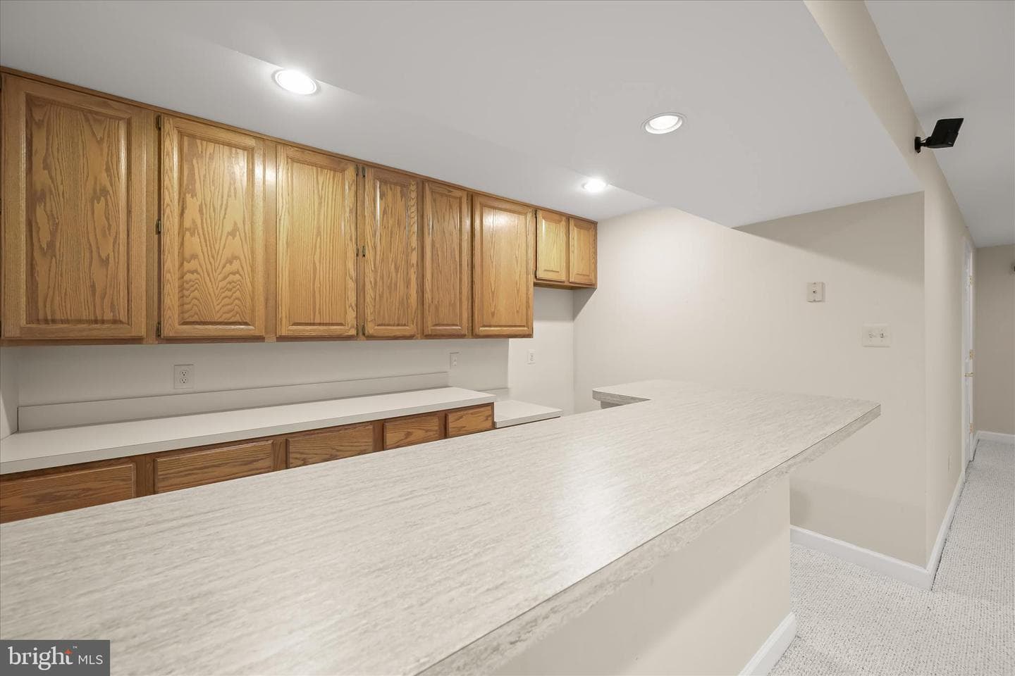 8649 Goldenstraw Lane photo 55