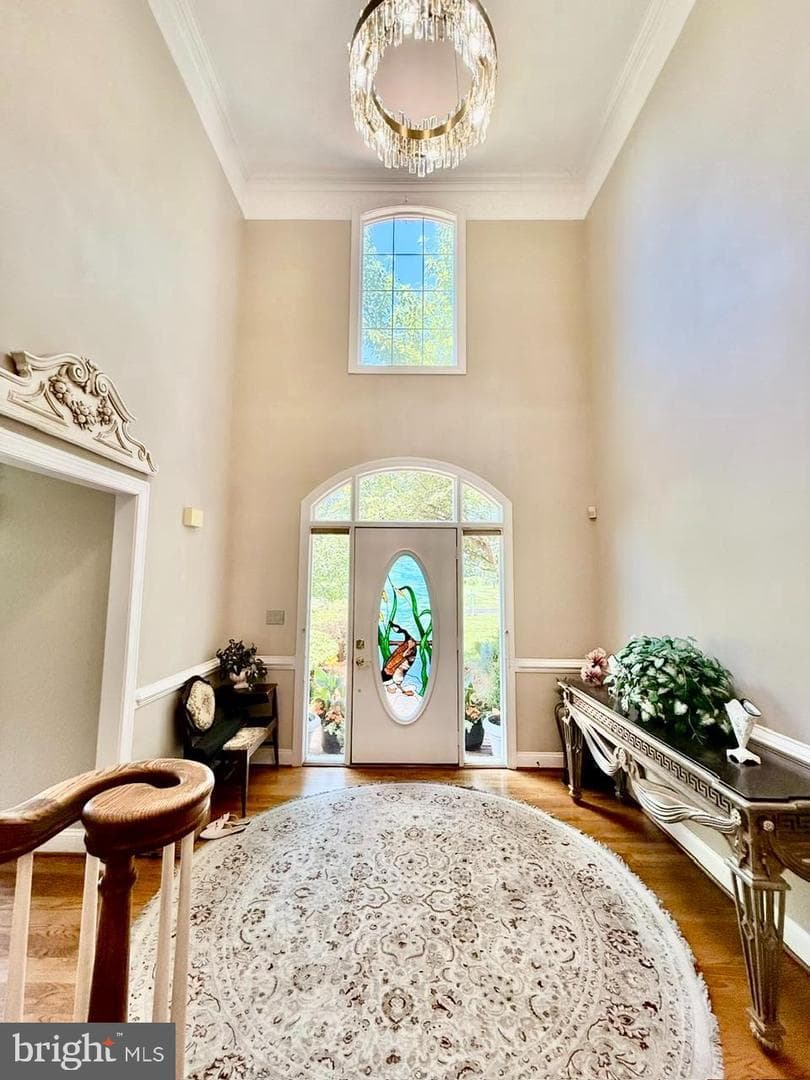 3357 Danmark Drive photo 6