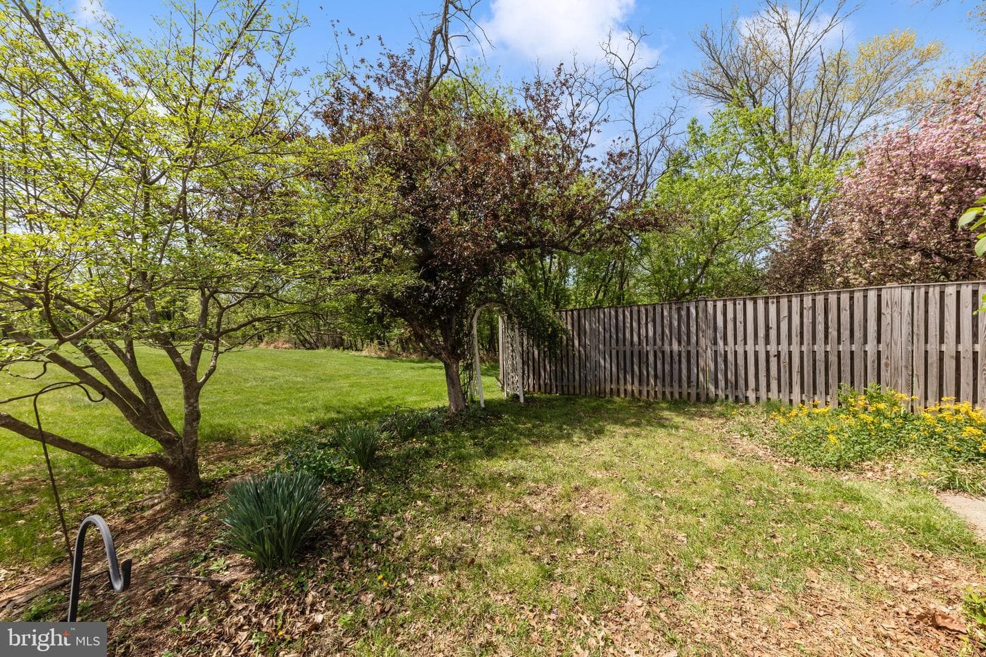 4536 Kingscup Court photo 46