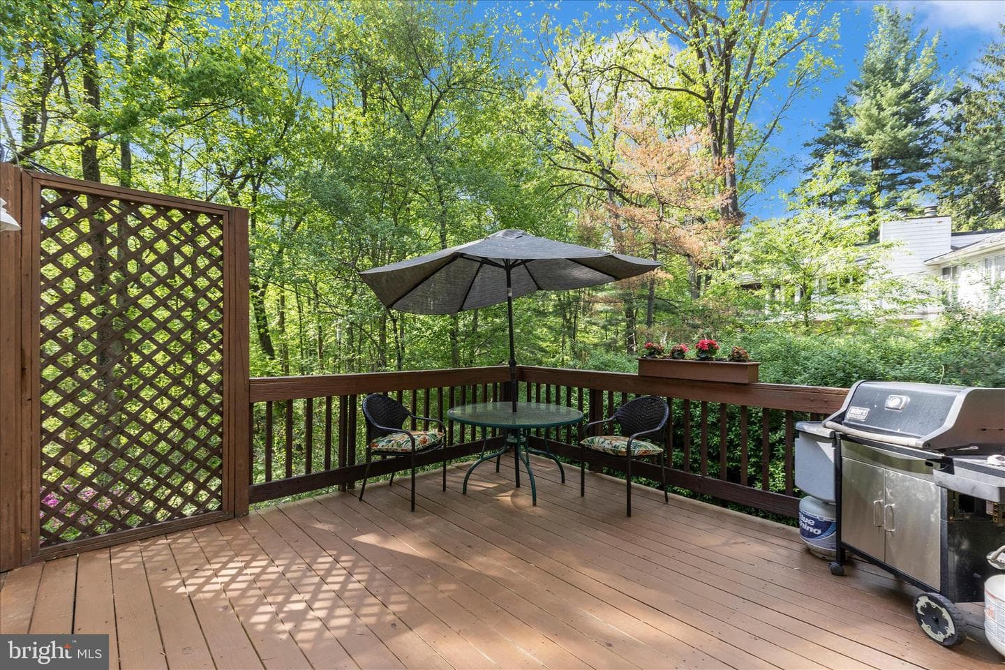7946 Helmart Drive photo 24
