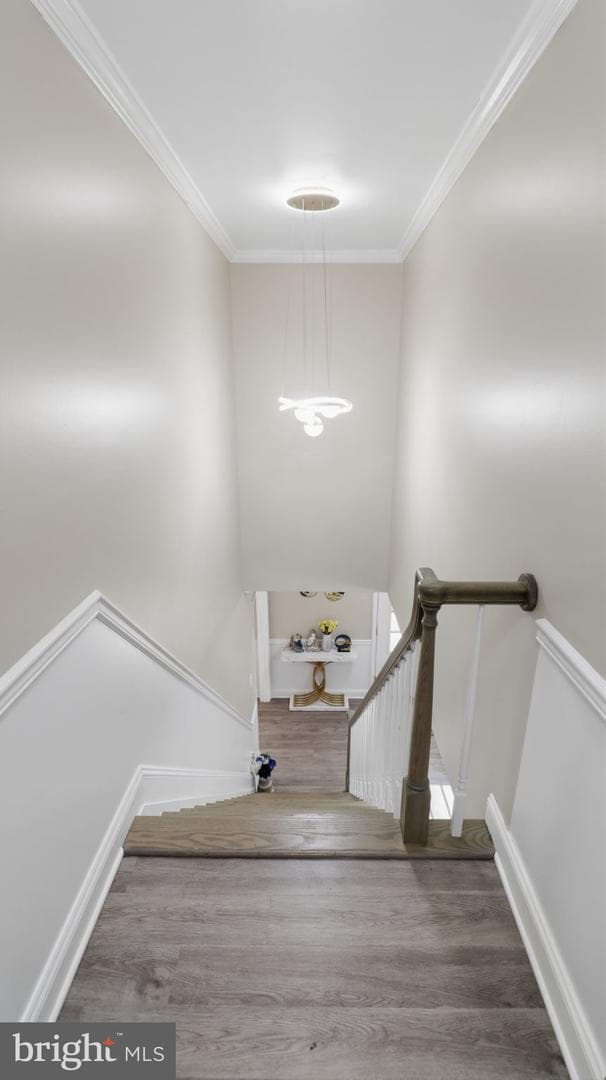 10144 Bracken Drive photo 53