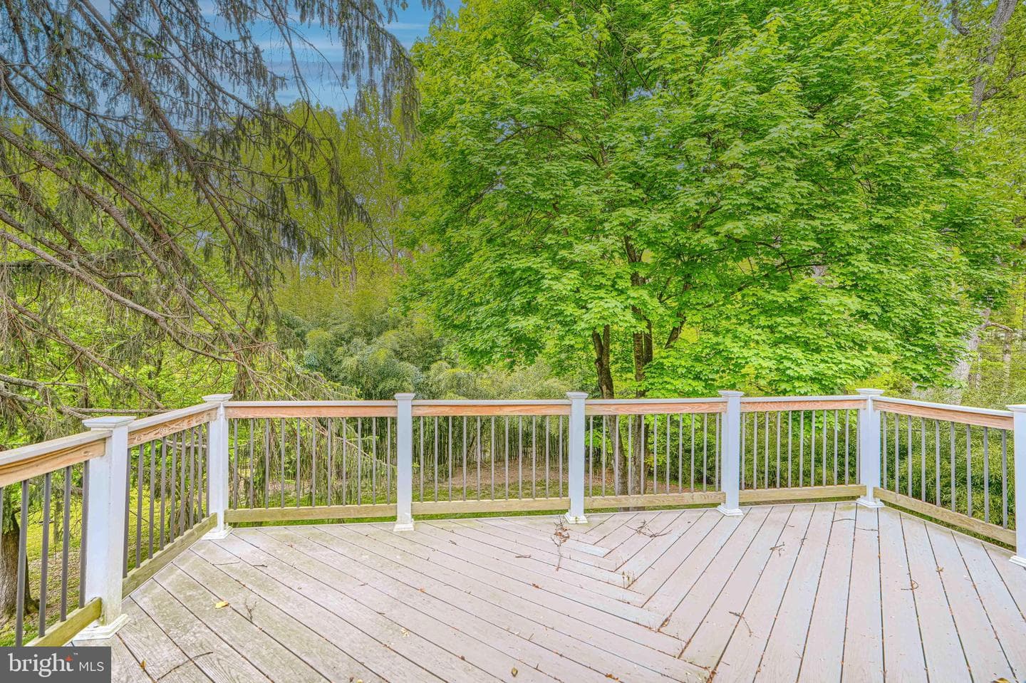 6706 Allview Drive photo 44