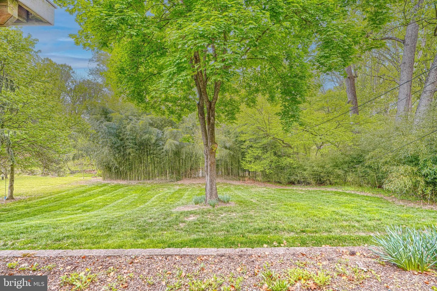 6706 Allview Drive photo 46