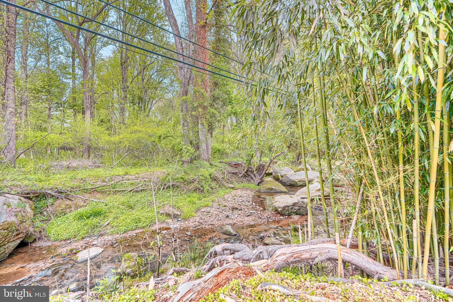 6706 Allview Drive photo 47