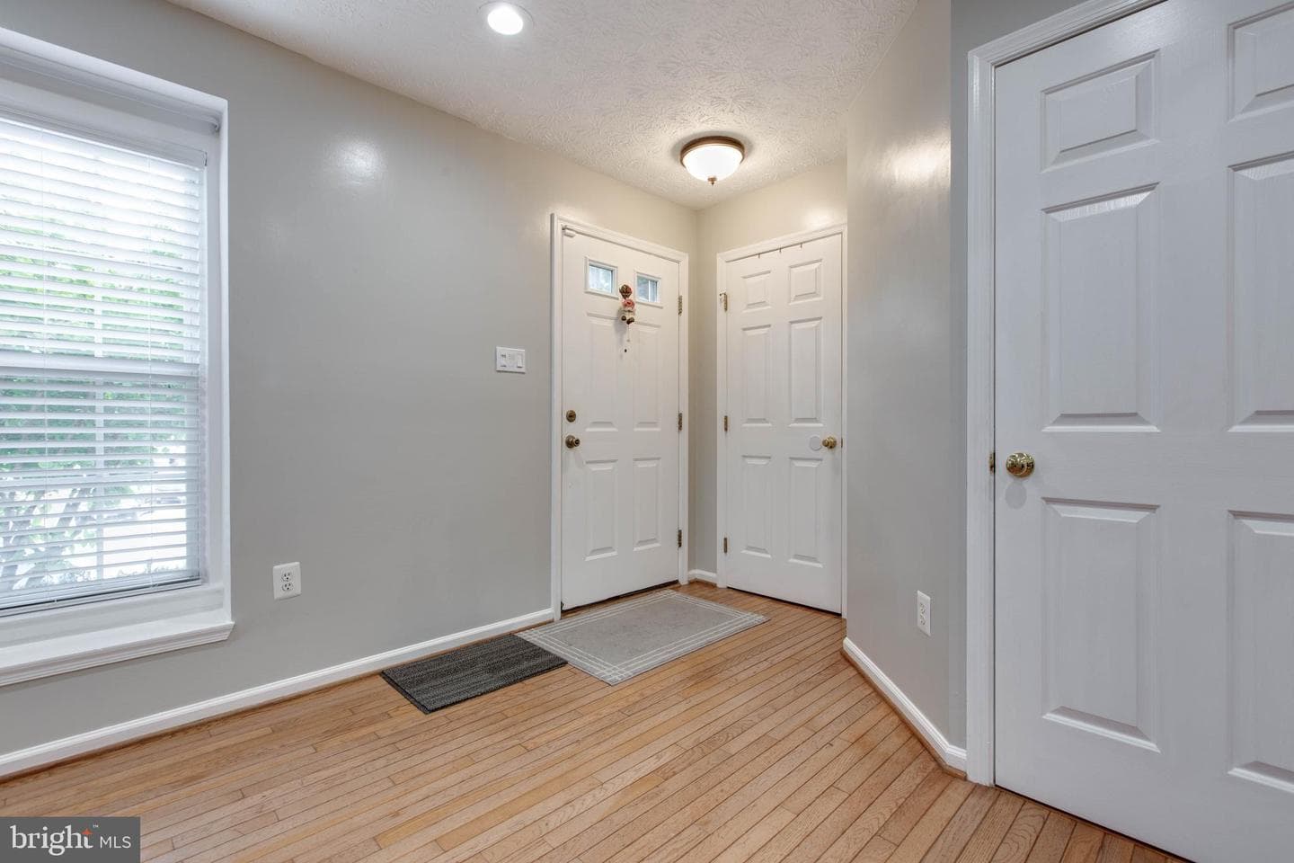 8893 Papillon Drive photo 4