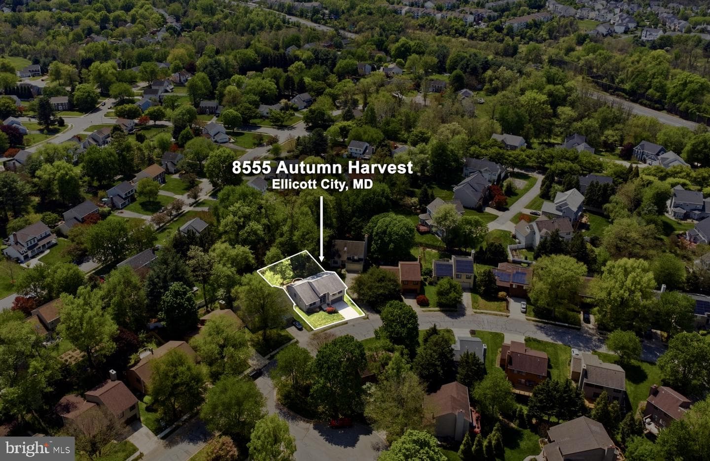 8555 Autumn Harvest photo 49