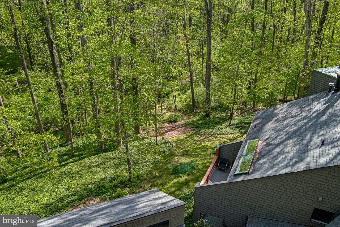 11113 Swansfield Road photo 10
