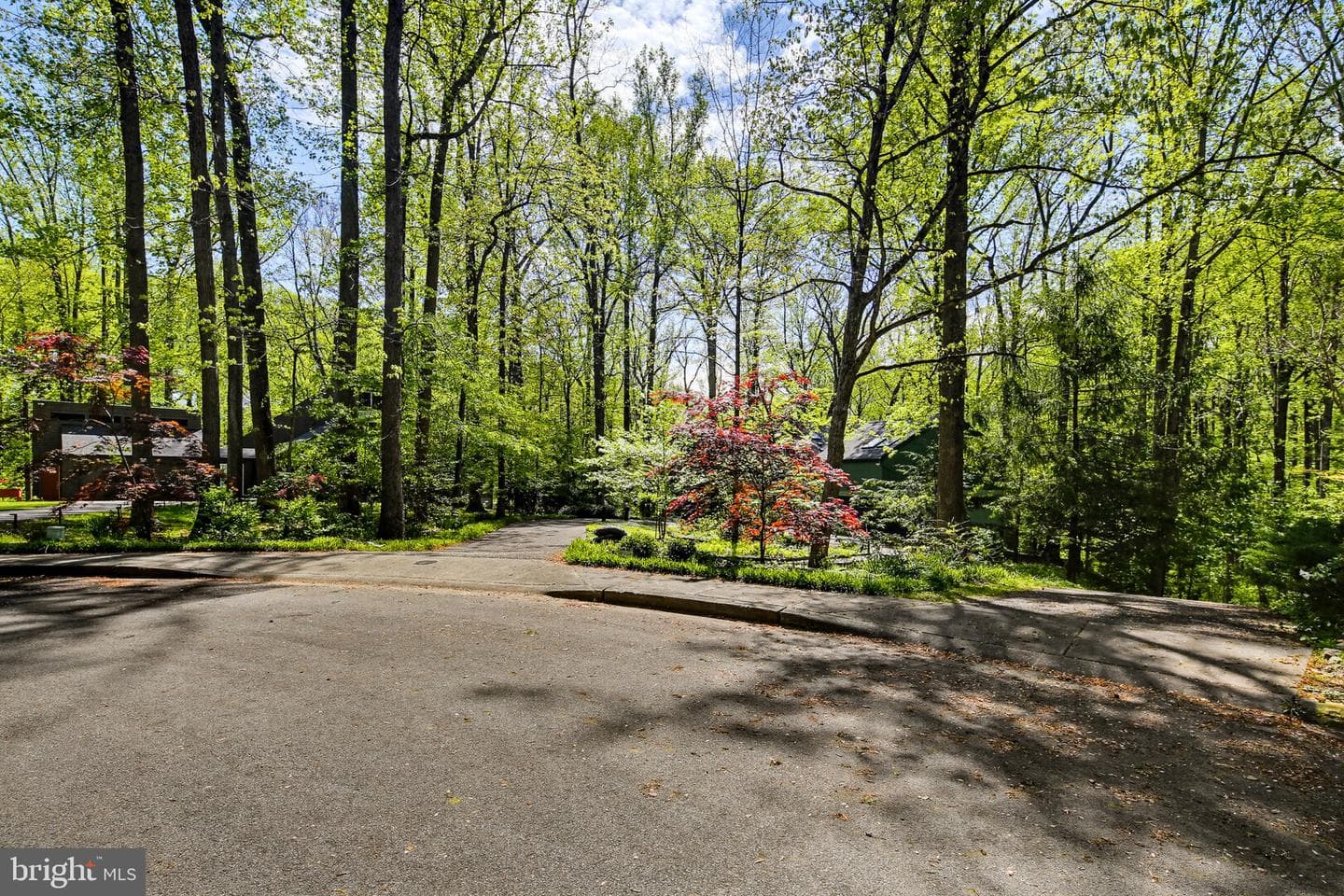 11113 Swansfield Road photo 15