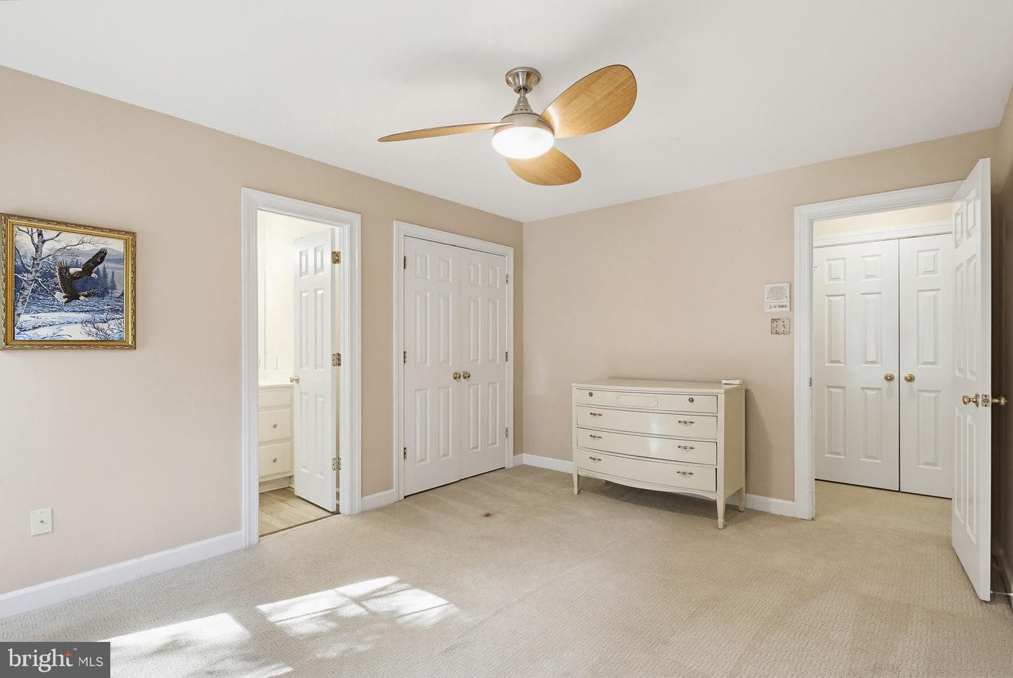 8368 Sand Cherry Lane photo 49