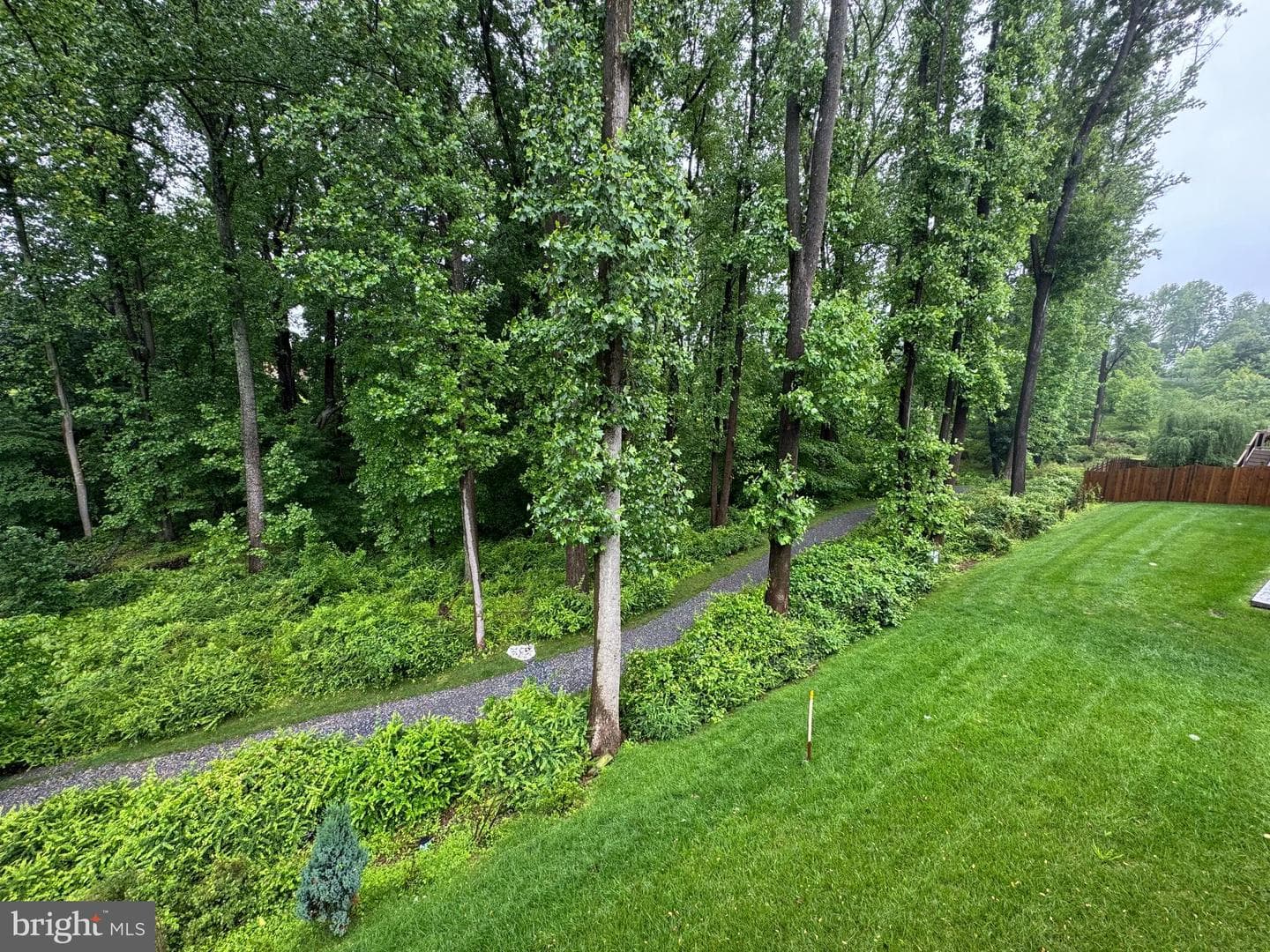2410 Vineyard Springs Way photo 39