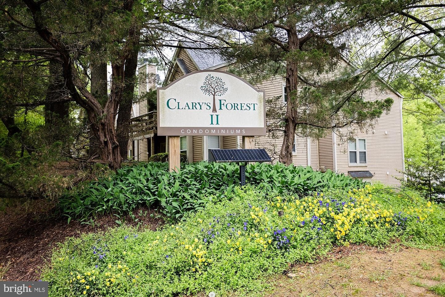 11430 Little Patuxent Parkway #807 photo 22