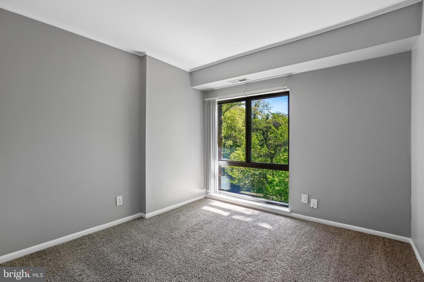 5917 Tamar Drive #11 Q23 photo 16