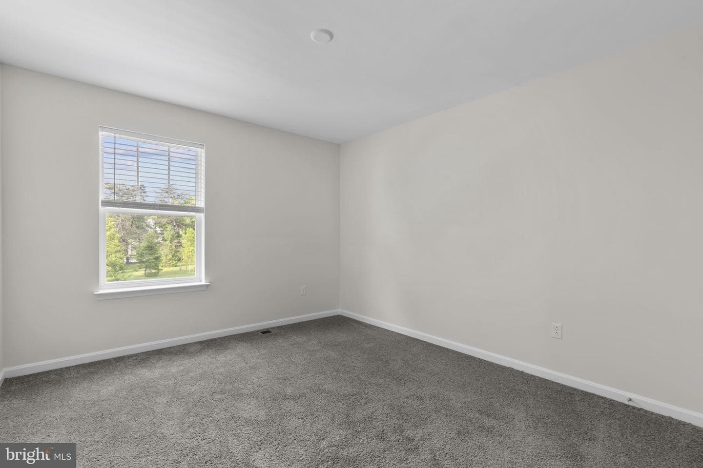 9318 Sydney Way photo 27