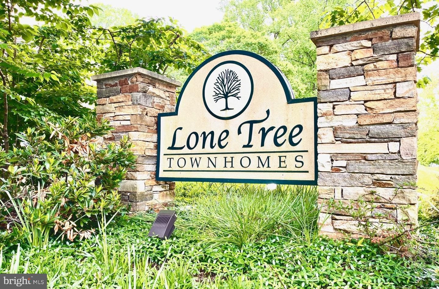 11769 Lone Tree Court photo 33