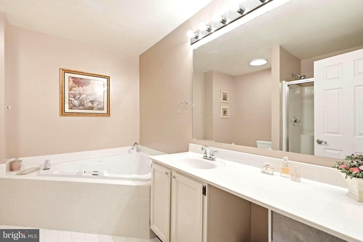 5363 Chase Lions Way photo 27