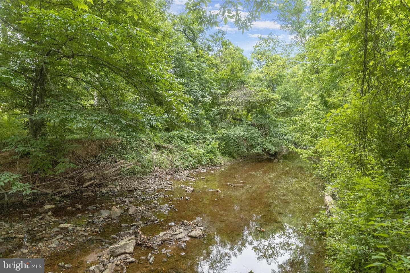 6420 Ivy Terrace photo 47