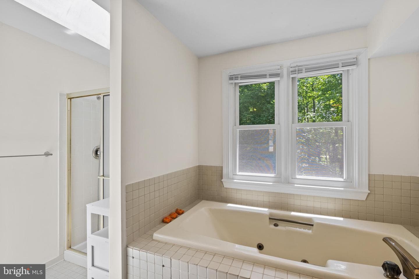 12128 Gray Star Way photo 26