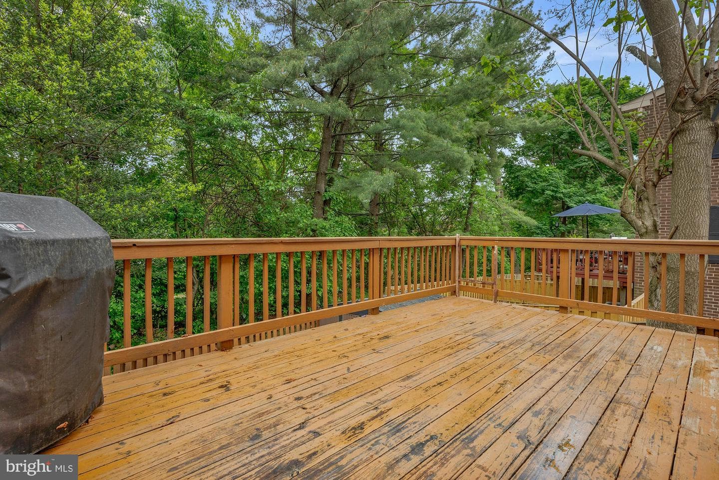 8783 Hayshed Lane #4-4 photo 14