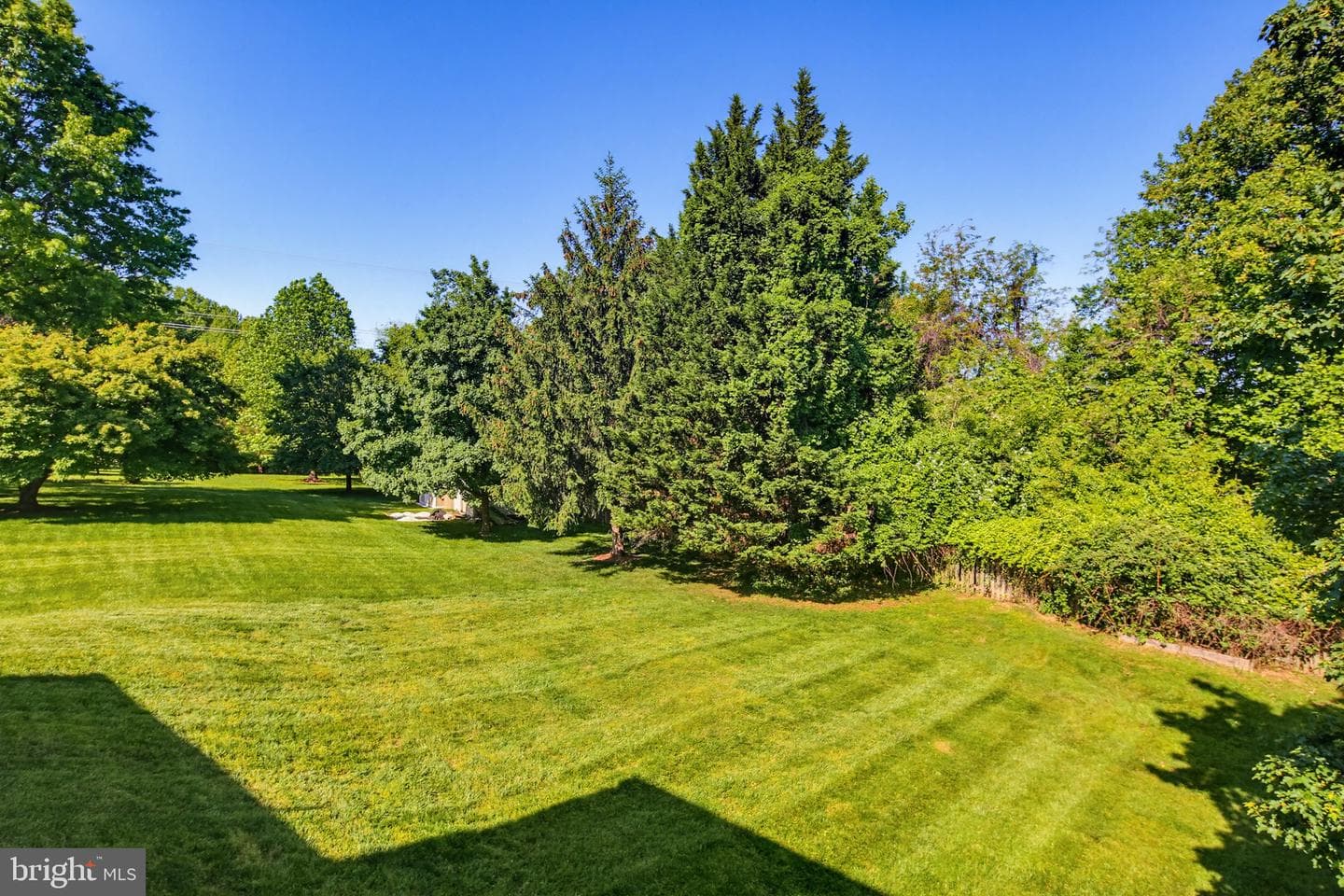 8266 Spring Branch Court photo 62