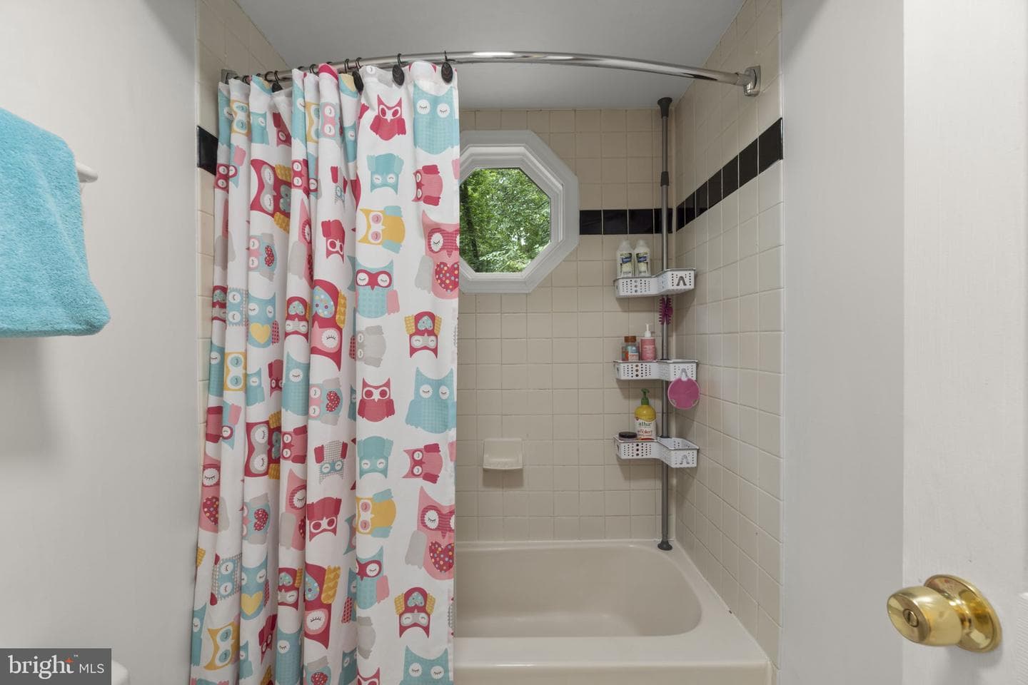 6319 Kiteline Court photo 31