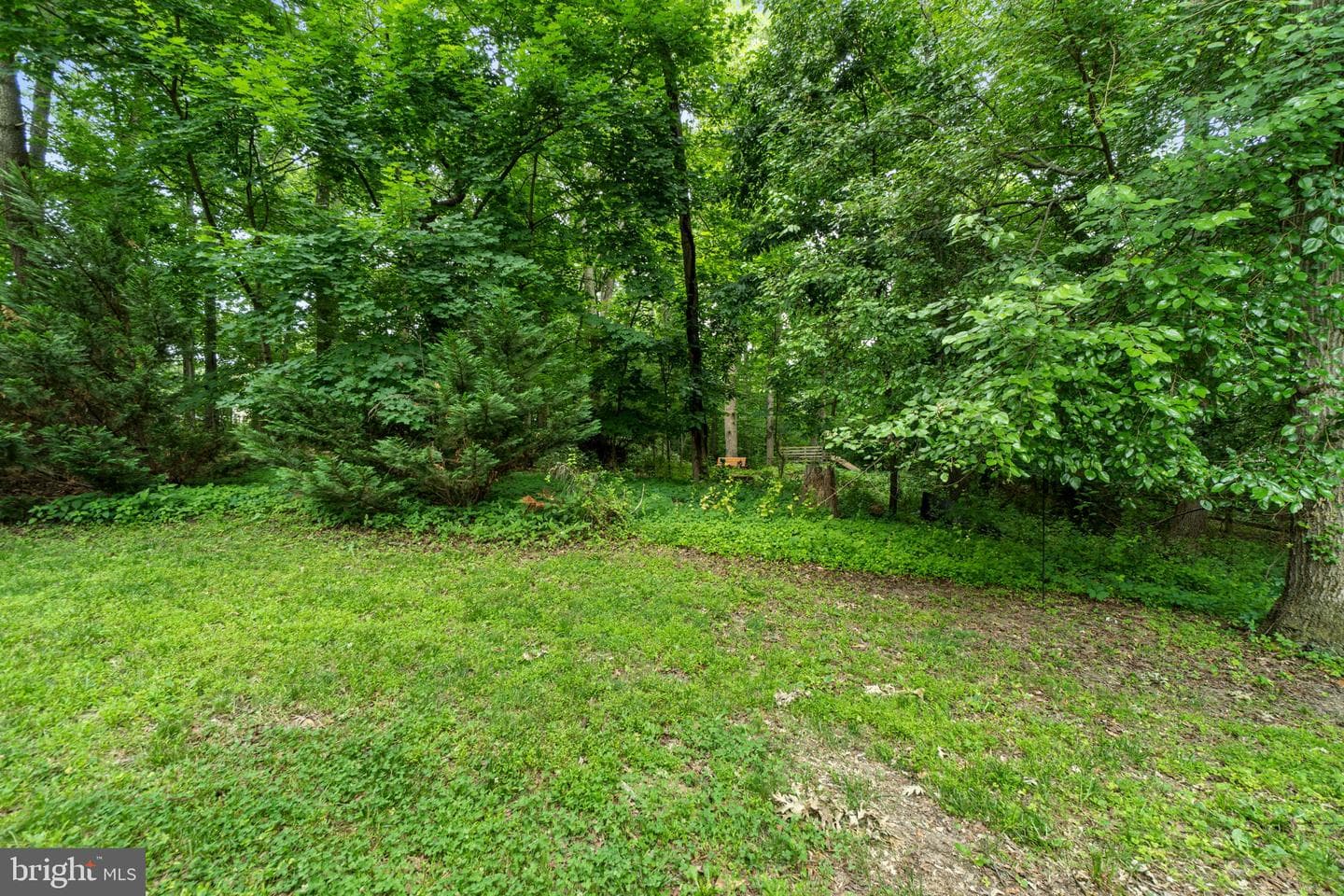 6319 Kiteline Court photo 45