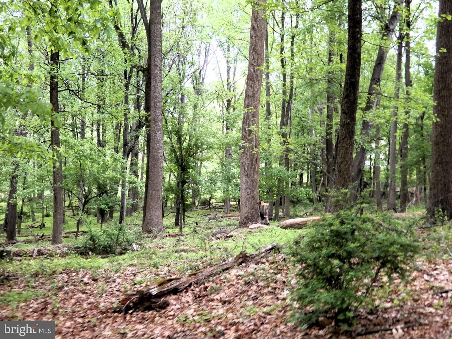 14170 Monticello Drive photo 18