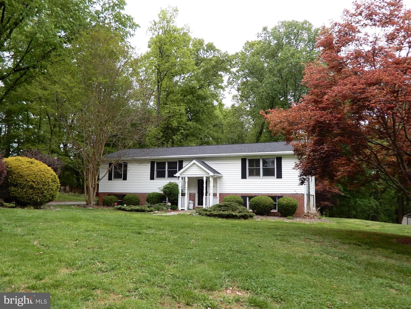 14170 Monticello Drive photo 4