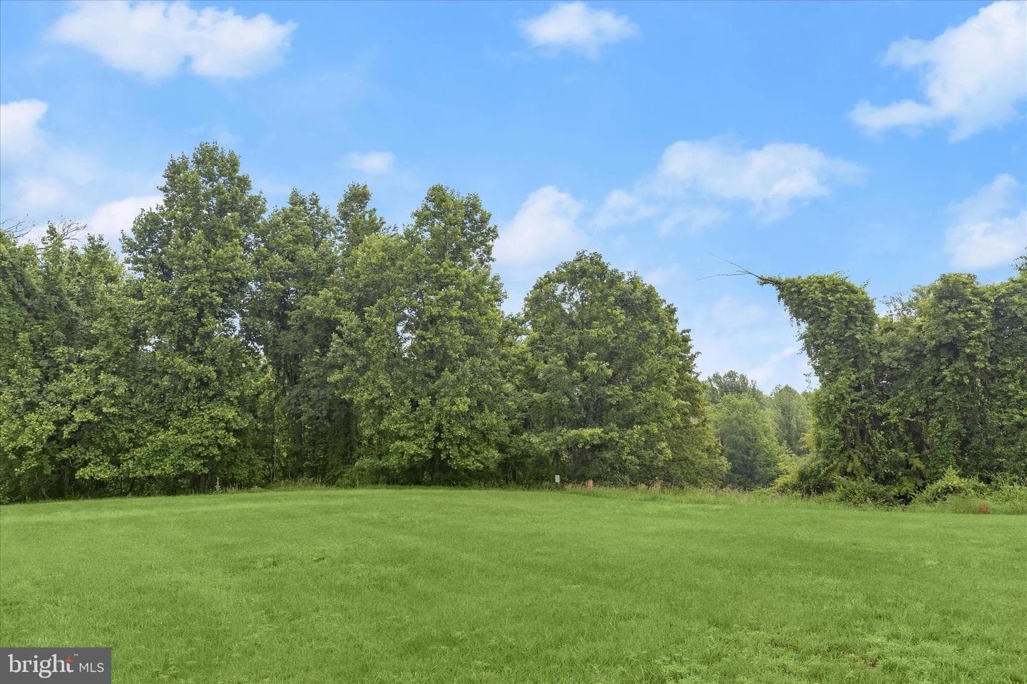8822 Stonehouse Drive photo 54