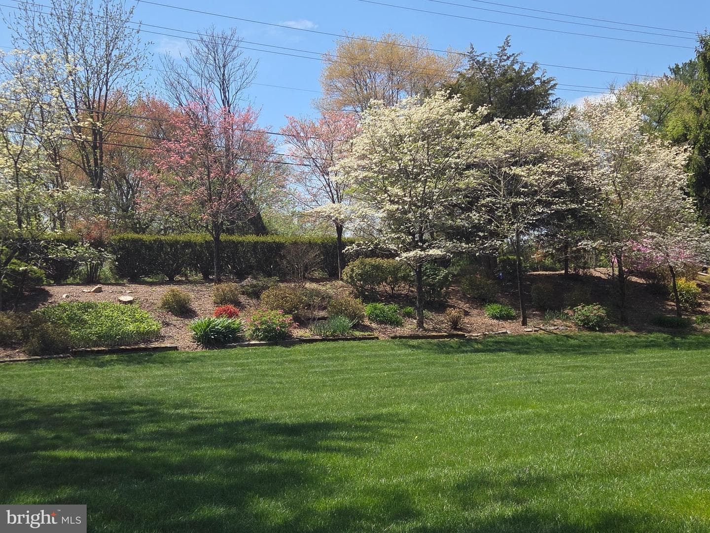 13164 Holly Loch Lane photo 38