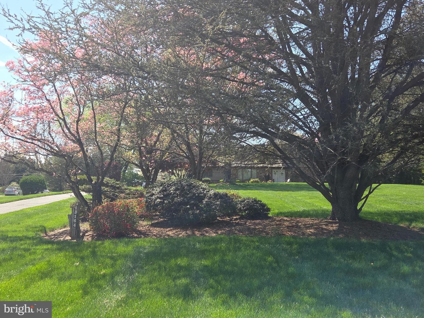 13164 Holly Loch Lane photo 41