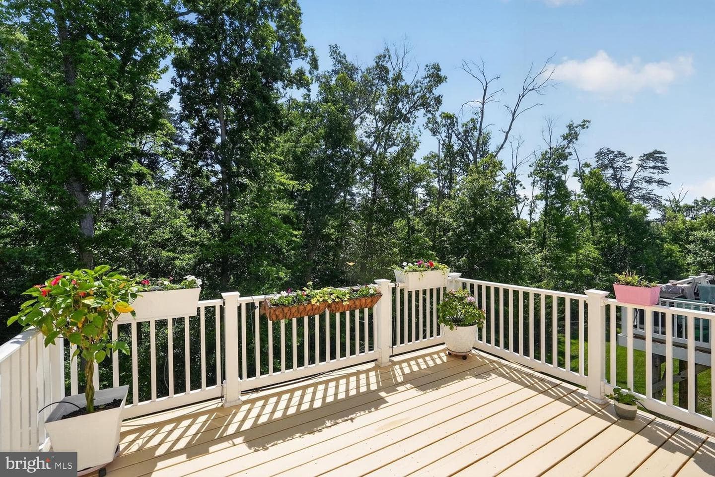 9209 Maggies Way photo 21