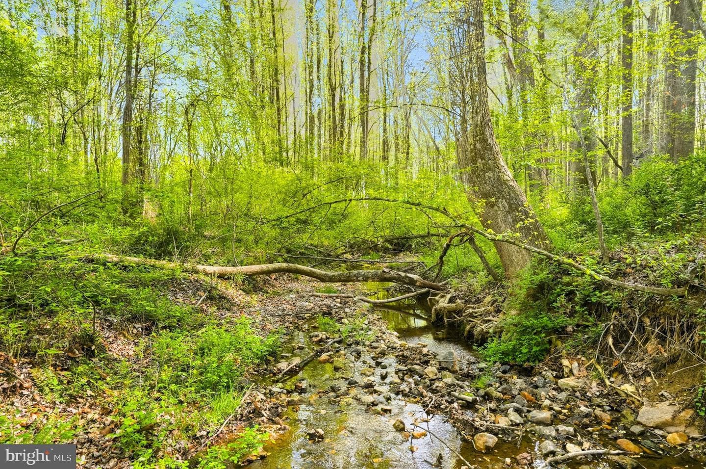 7049 Mink Hollow Road photo 18