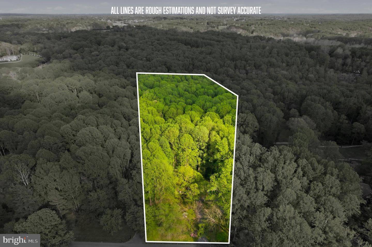 7049 Mink Hollow Road photo 21