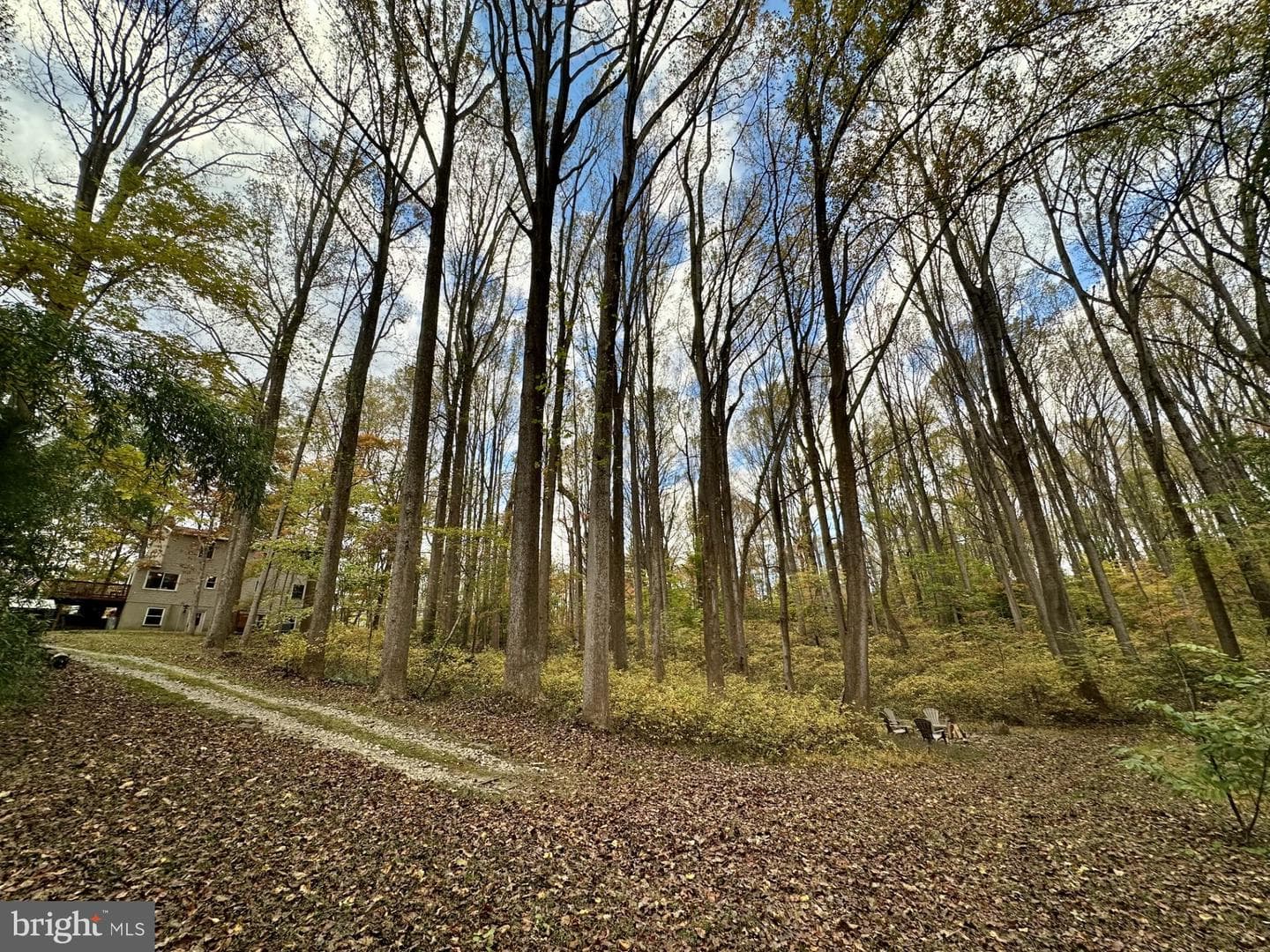 7049 Mink Hollow Road photo 60