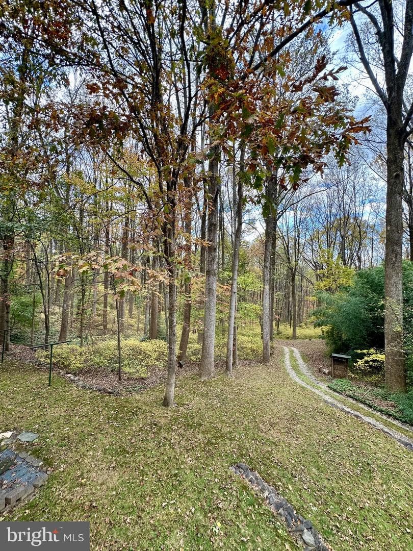 7049 Mink Hollow Road photo 61