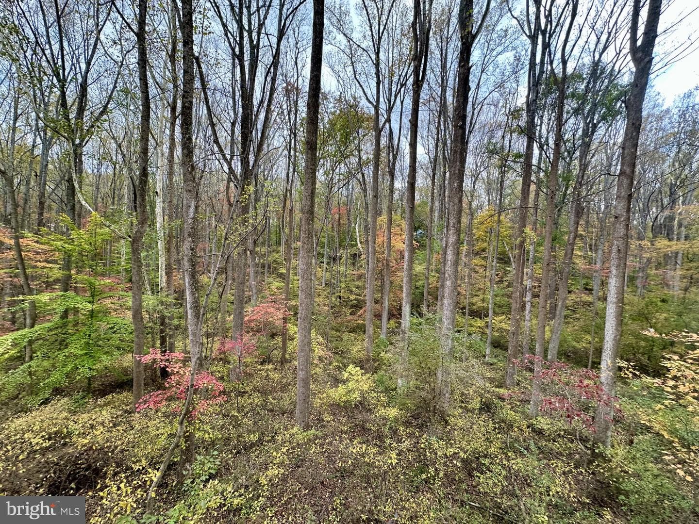 7049 Mink Hollow Road photo 64