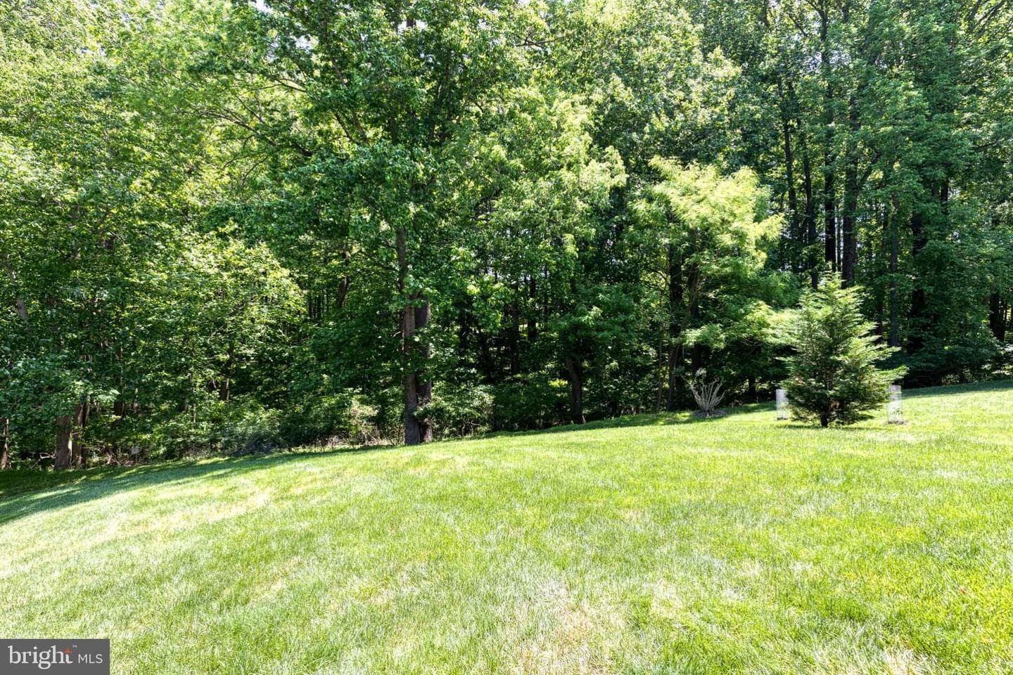 9741 Starling Road photo 49